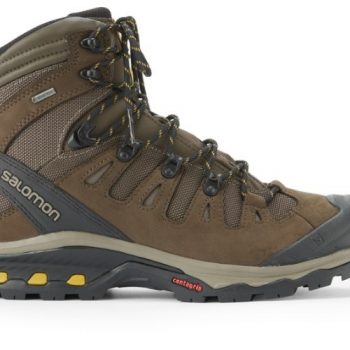 https://www.rei.com/product/127770/salomon-quest-4d-3-gtx-hiking-boots-mens