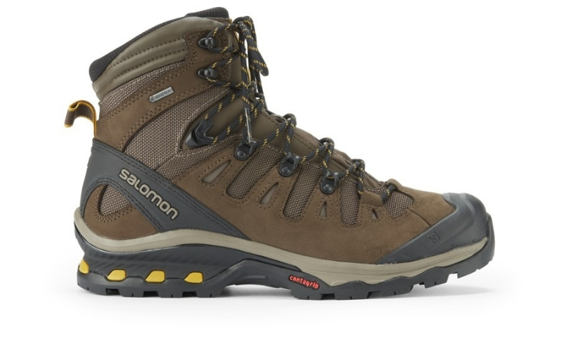 https://www.rei.com/product/127770/salomon-quest-4d-3-gtx-hiking-boots-mens