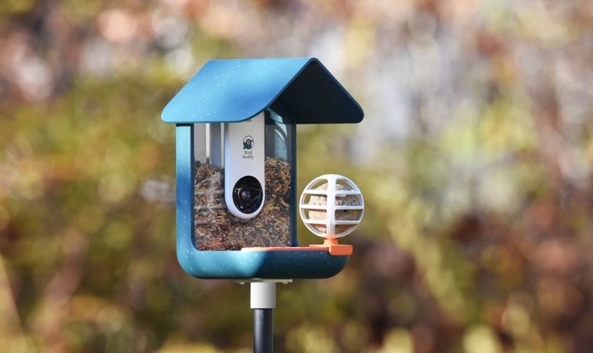 bird buddy feeder camera